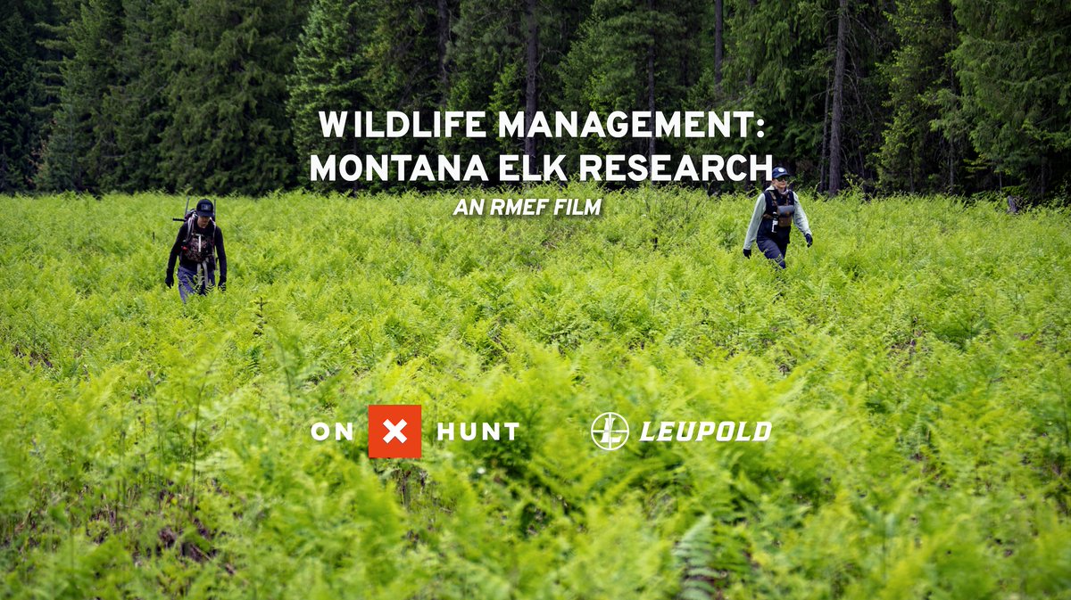 Rocky Mountain Elk Foundation tweet media