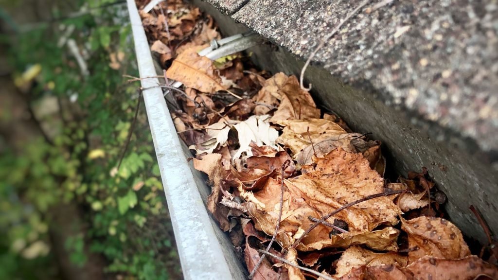 Gutters keep water flowing away from your home! 💧 Inspect for leaks, keep debris out, and consider professional cleaning for hard-to-reach spots. Learn more: monkeylink.co/a2515d 
#GutterMaintenance #HomeCare #RoofProtection #Downspouts