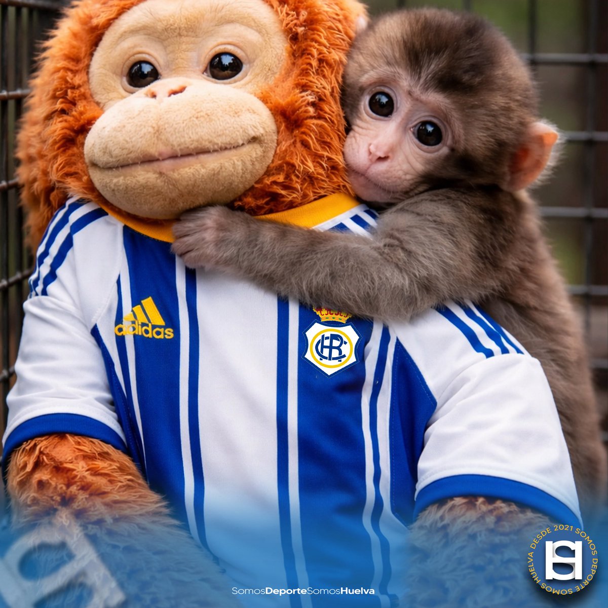 💙 ¡𝐓𝐞 𝐪𝐮𝐞𝐫𝐞𝐦𝐨𝐬 𝐏𝐮𝐧𝐜𝐡!

⚽️ <a href="/aguilas_fc/">Águilas F.C.</a> 🆚 <a href="/recreoficial/">RC Recreativo de Huelva</a> 
⏰ 19:00H
📌 Estadio El Rubial

#SomosDeporteSomosHuelva