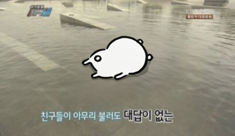 terra 🌱 tweet media