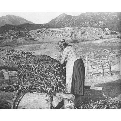 JazzyClips tweet media