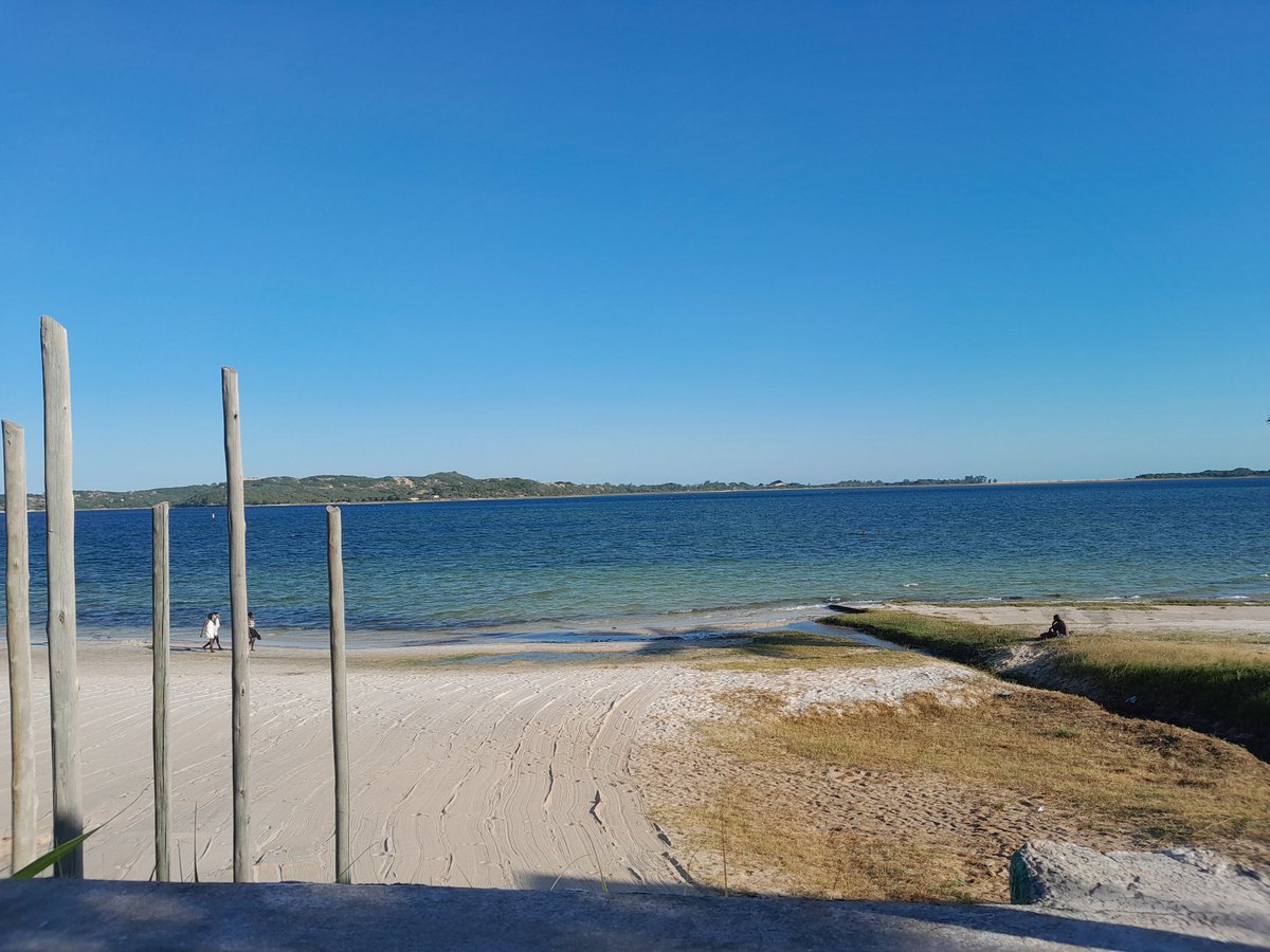 mthulisi sambo tweet media