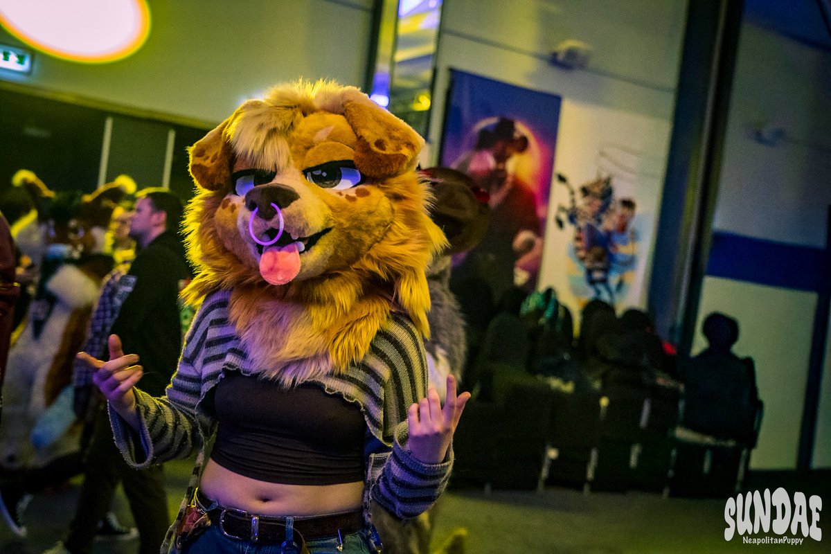 NeapolitanPubby's tweet photo. My fav quirked up white girl @sodayeena 

#furry #fursuit #scotiacon2026 https://t.co/KpXlzeKYfp