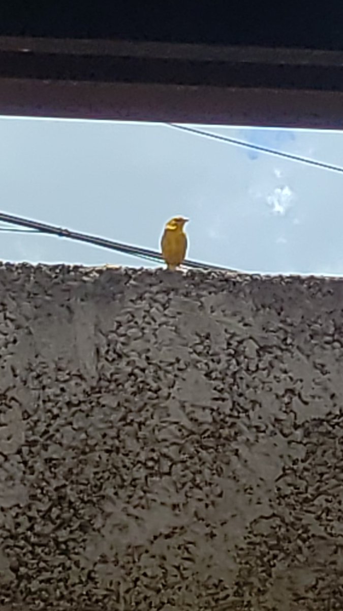 FRANCO 🚩❤🖤🚴‍♀️ (@fchagas04) on Twitter photo 