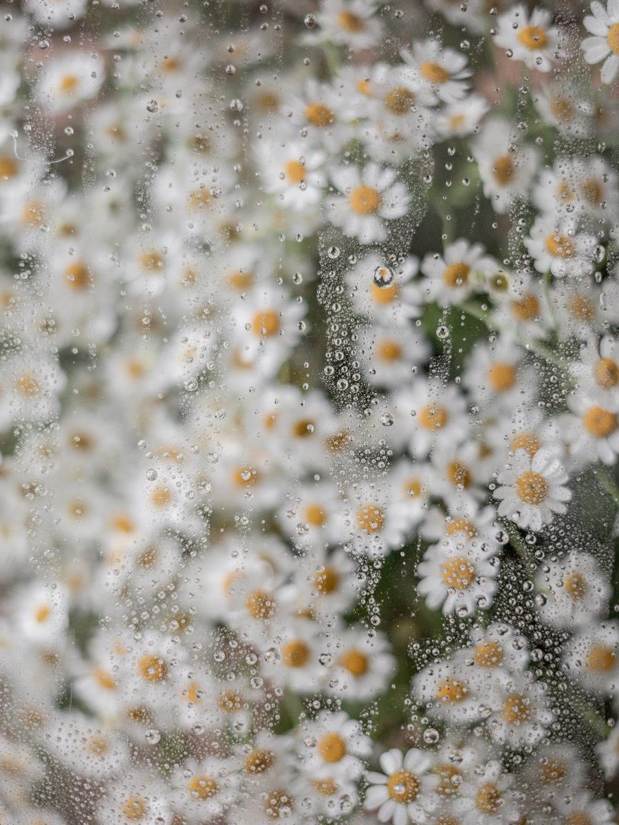 Purely Green tweet media