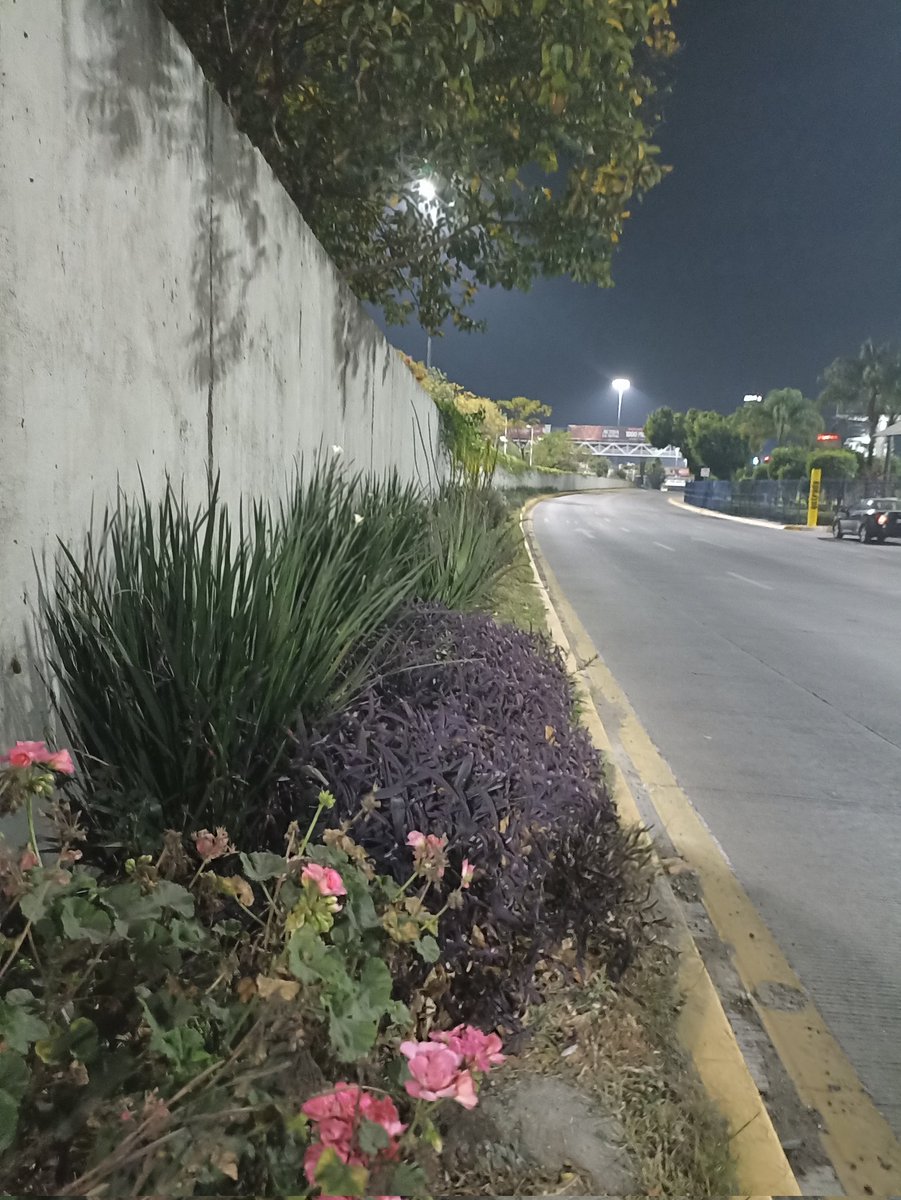 Parque del Ángel Puebla tweet media