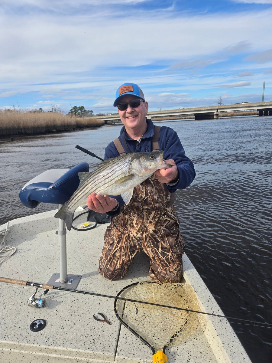 NC Division of Marine Fisheries tweet media