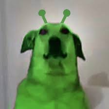 Myrtraan tweet media