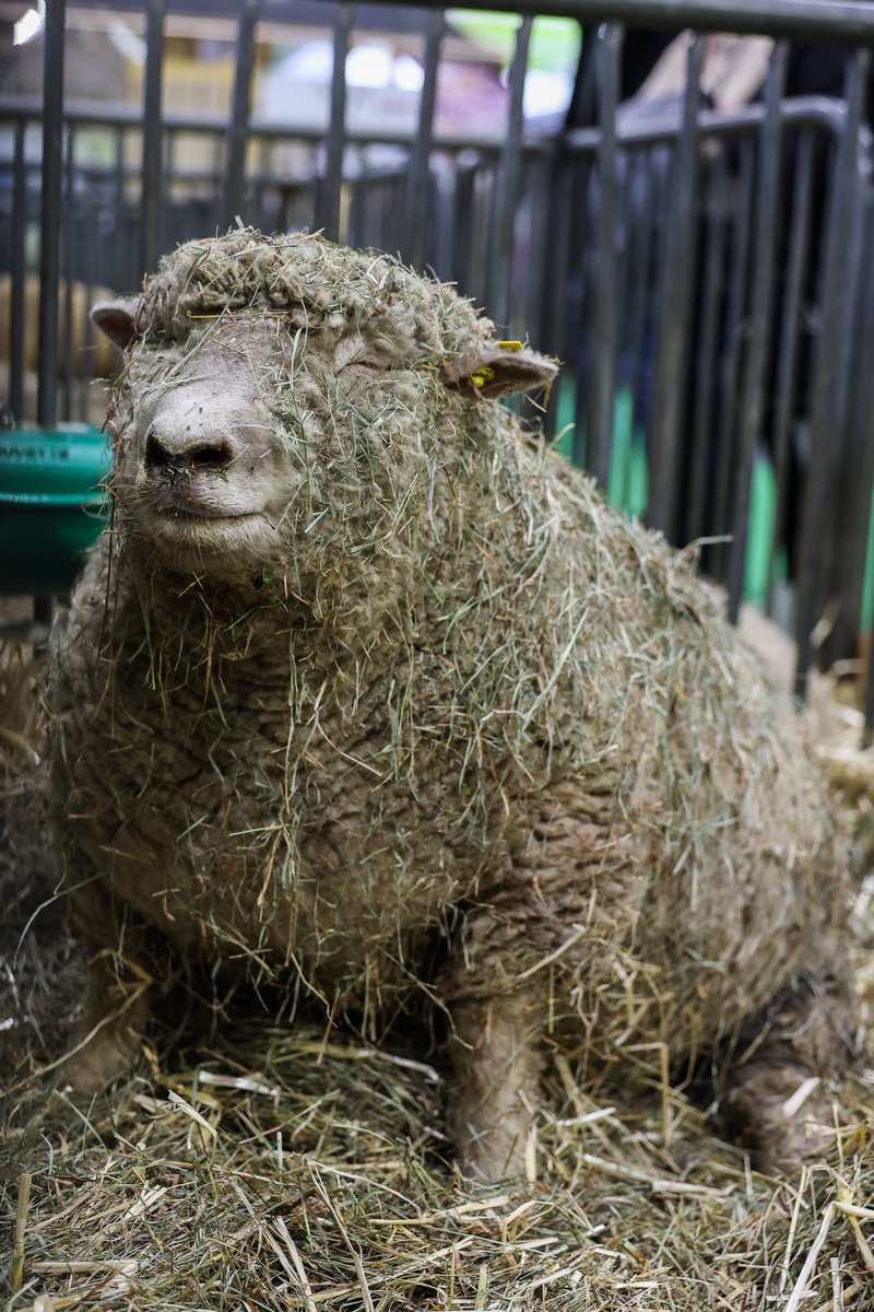 Sébastien Lecornu tweet media