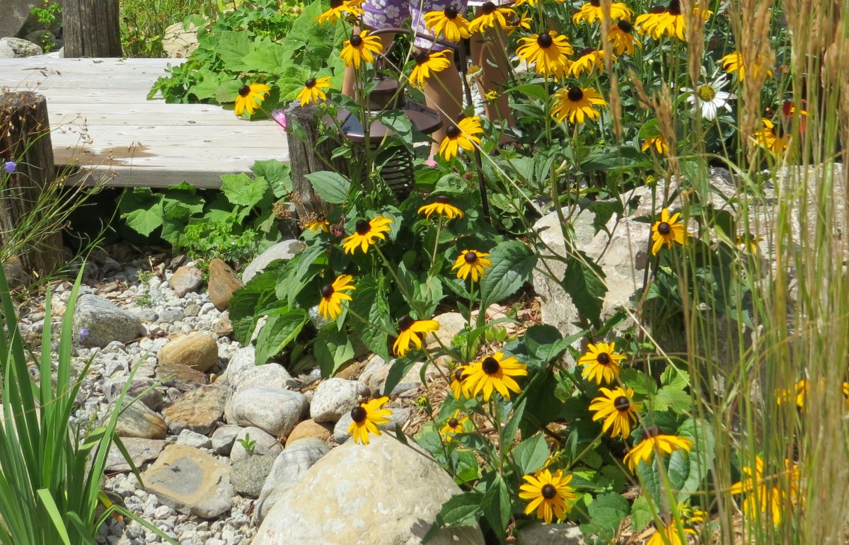 Toronto and Region Conservation Authority tweet media