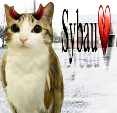 Malicefv tweet media