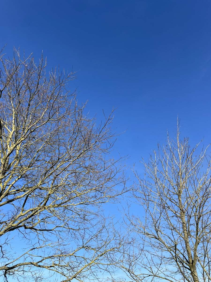 Blueberry Glass tweet media