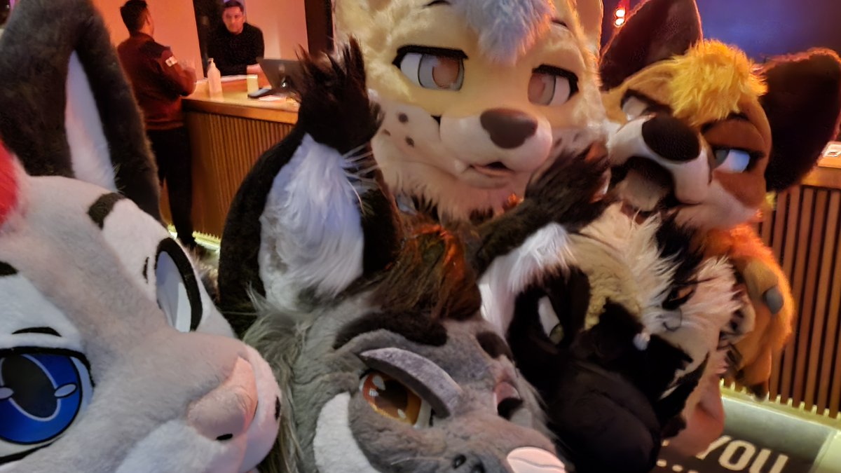 Krym🐾 tweet media