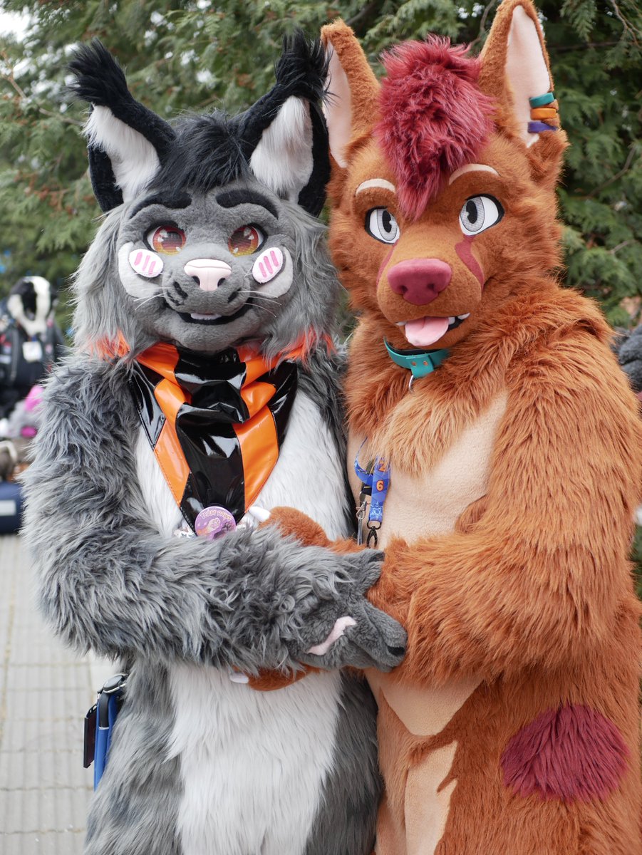 Krym🐾 tweet media