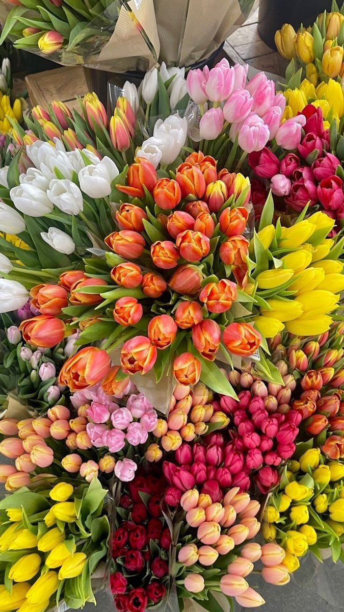 tutututututulip's tweet photo. https://t.co/UYghiA1td6