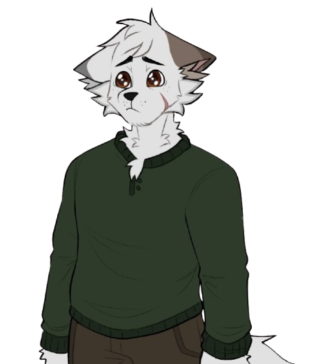 Daily Theo tweet media