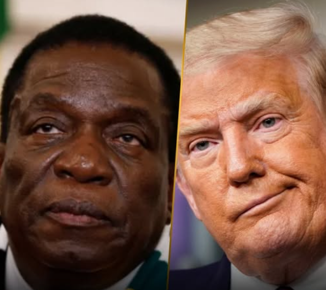 African Hub tweet media