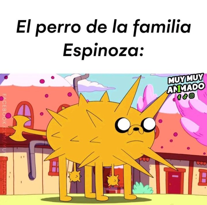 Renma 🇸🇪🇧🇩 (@renmaa_owo) on Twitter photo 