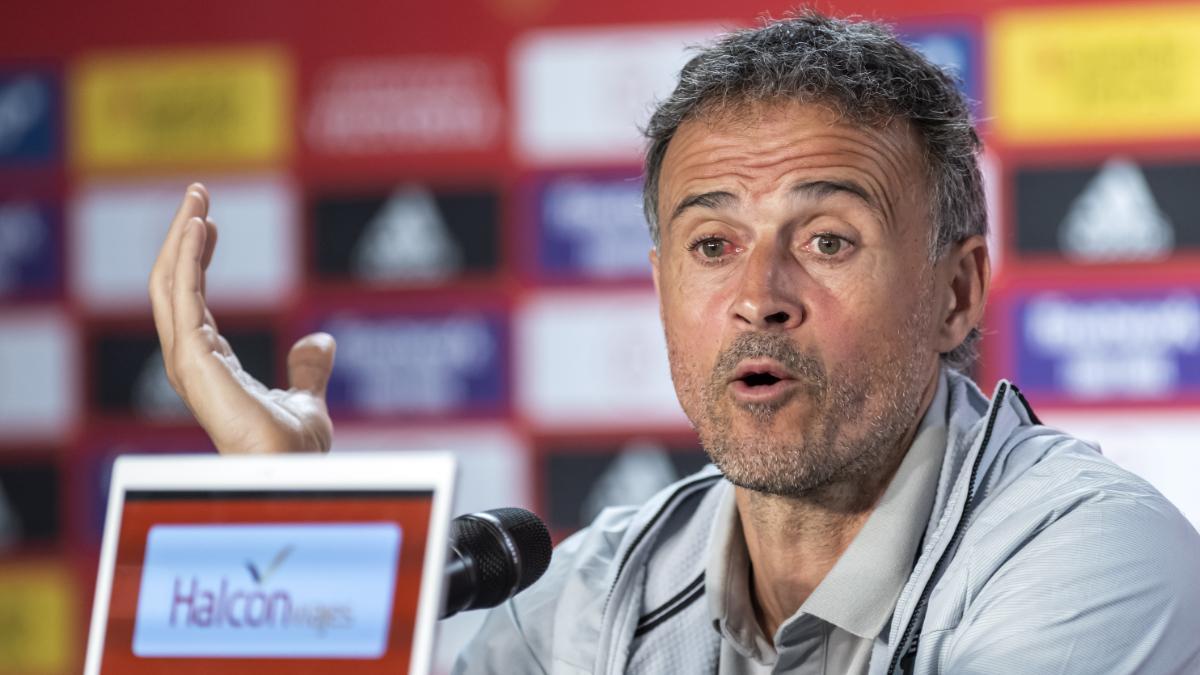 🐬🐬🚨📡 🗞🚨🐬🐬 | RUEDA DE PRENSA #RutaDelPancherio
🎙🗣 Luis Enrique: No a sido mala jornada pero 55 puntos no nos a llegado para poder disfrutar de otra final, dar la enhorabuena a <a href="/A_L_P_Ruta/">A_L_P</a> x su eliminaroria y como no desearle toda la suerte en esa finalisima.