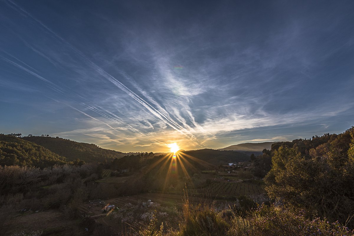 santquintimeteo's tweet photo. #Postadesol avui amb el pas de núvols alts, màxima de 20.8º i mínima de 5.9º. @Vakapiupiuu @3CatInfoelTemps @eixdiari @meteorac1 @alcantara_alb @btveltemps @SoniaPapell @SergiLoras @Meteomaxima @tempsdemeteo @MeteoPenedesTV @IsaacVila9 https://t.co/ITP1E5Dh2u