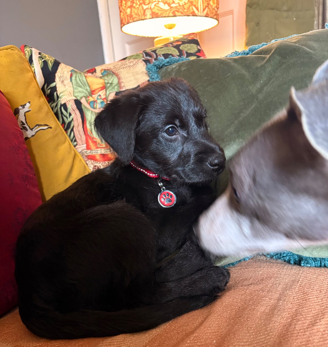 Miss Underscore tweet media