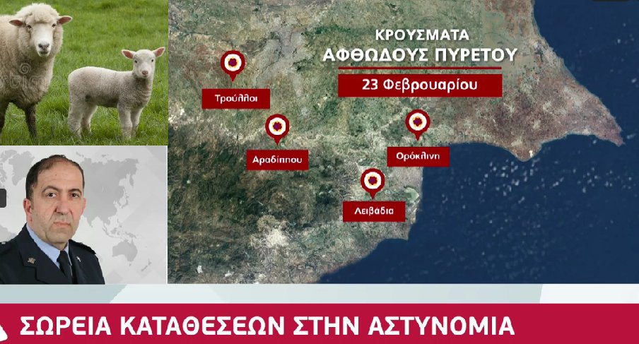 Katerina Eliadi tweet media