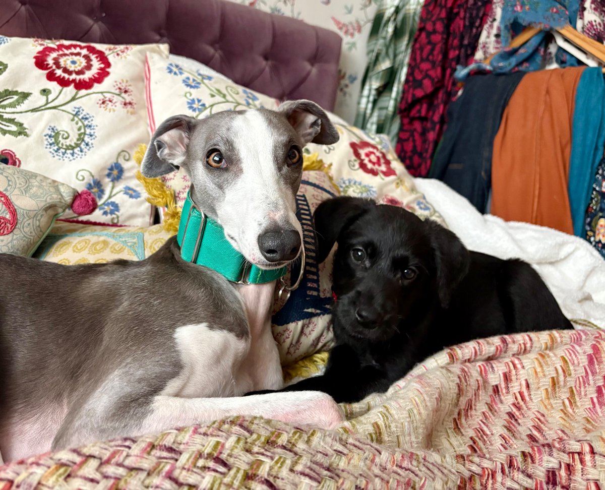 Miss Underscore tweet media