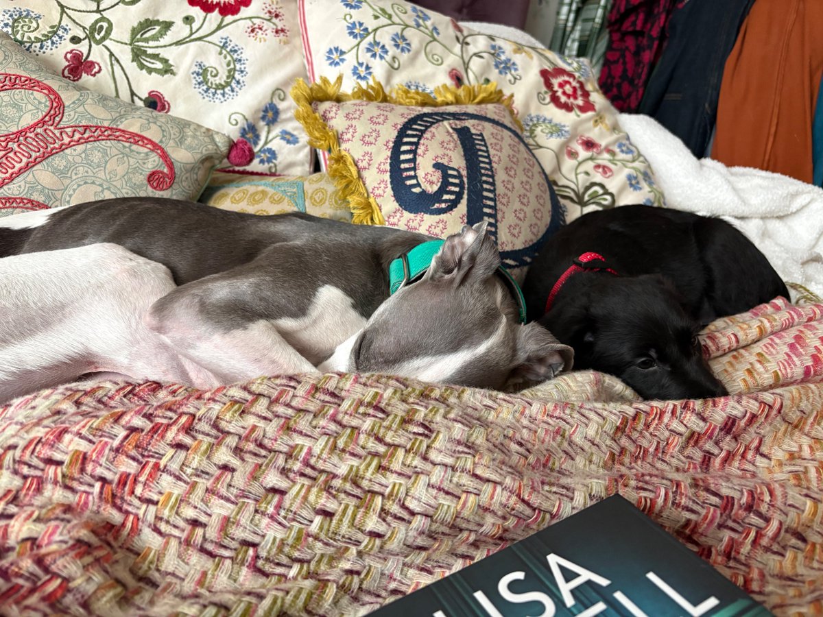 Miss Underscore tweet media