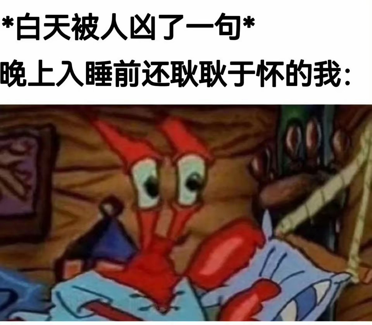 你知道吗，表面上看来猫猫不会在意别人的看法，实际上其实它在意的不得了