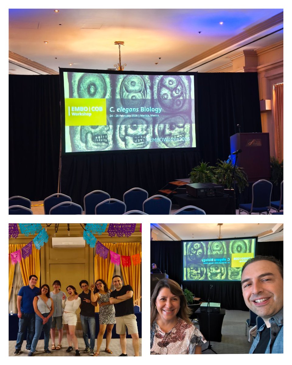 Valdes_Lab tweet media