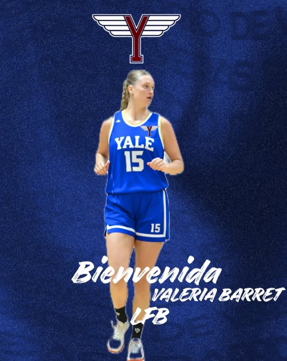 Aleras UY 🏀 tweet media