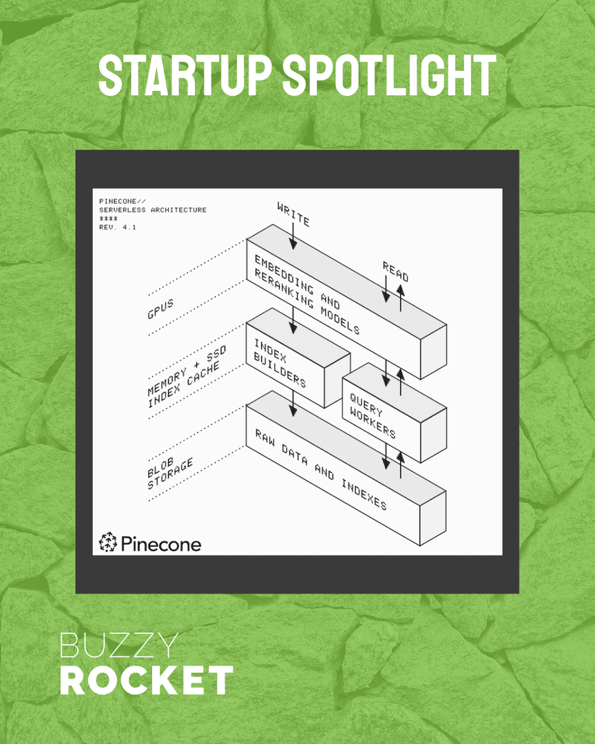 Buzzy Rocket tweet media