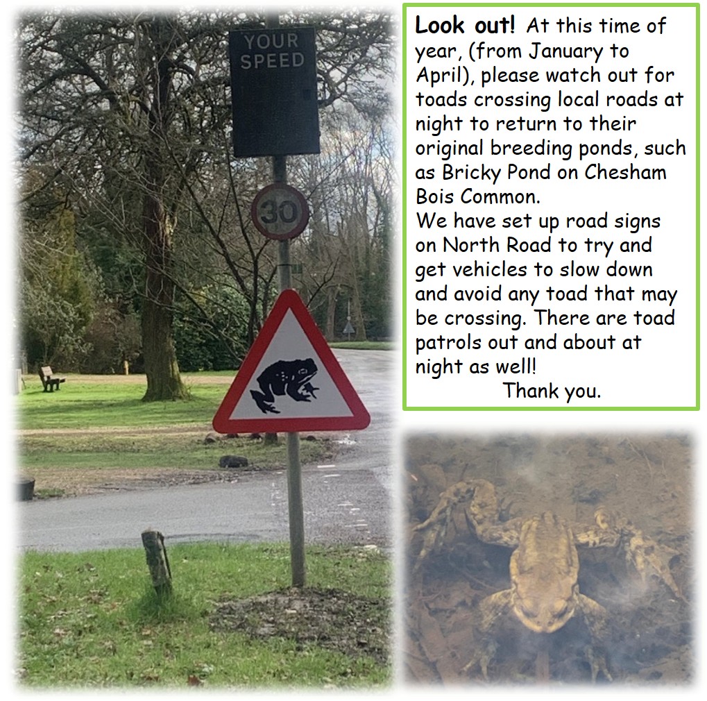 Chesham Bois Parish Council (@cheshamboispari) on Twitter photo 