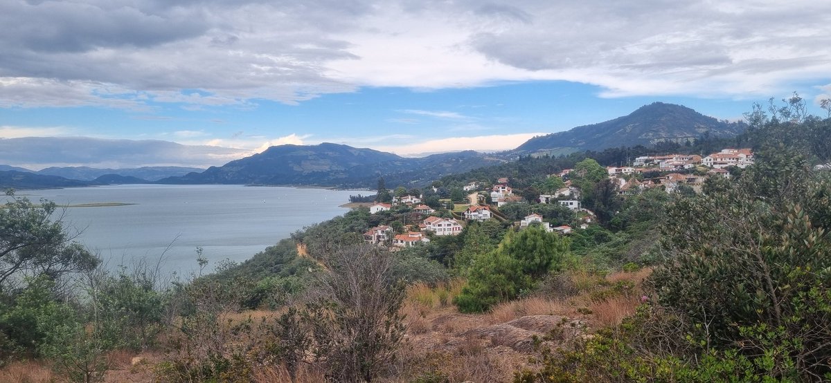 CollagePunks.ᵍᵐ tweet media