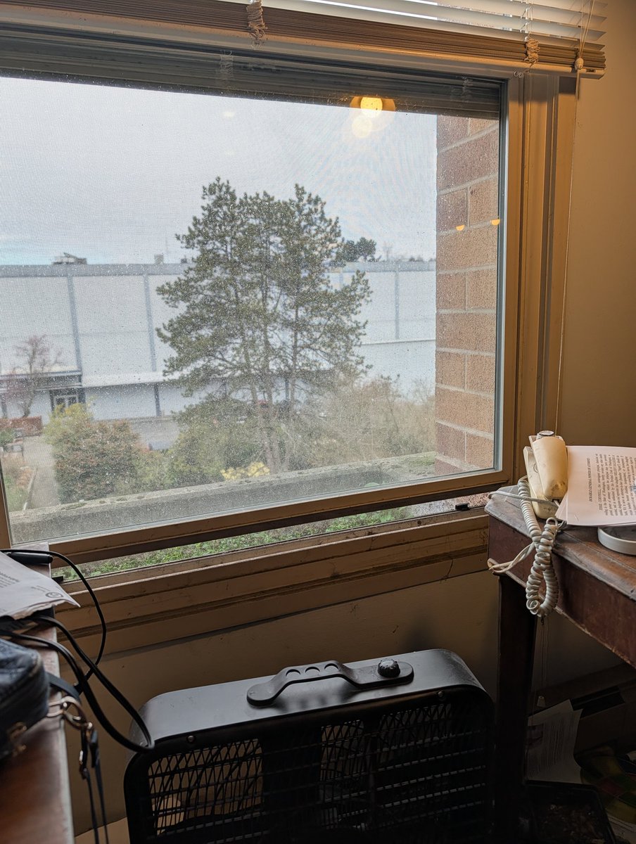 Amb. Thwack Vaxxed & Masked tweet media