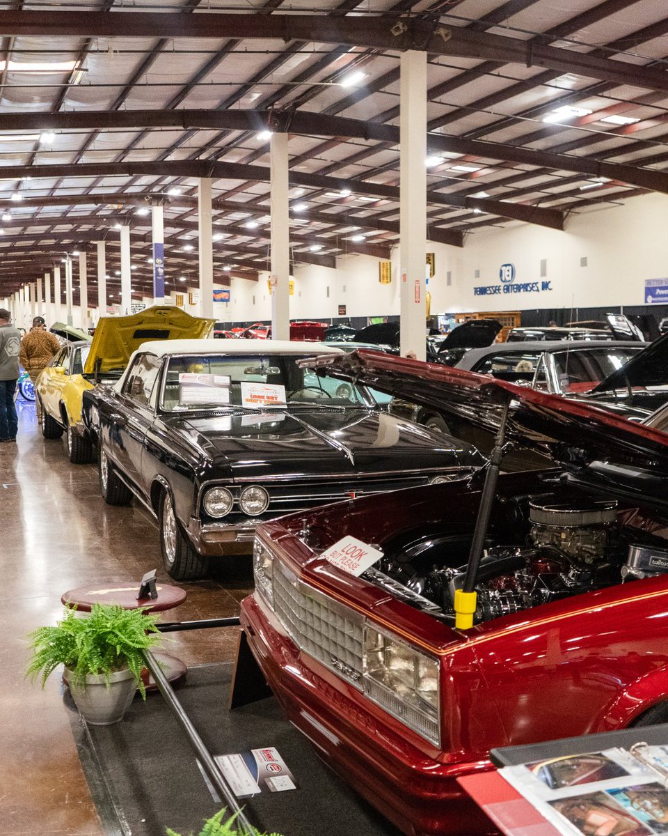 Tupelo, Mississippi tweet media