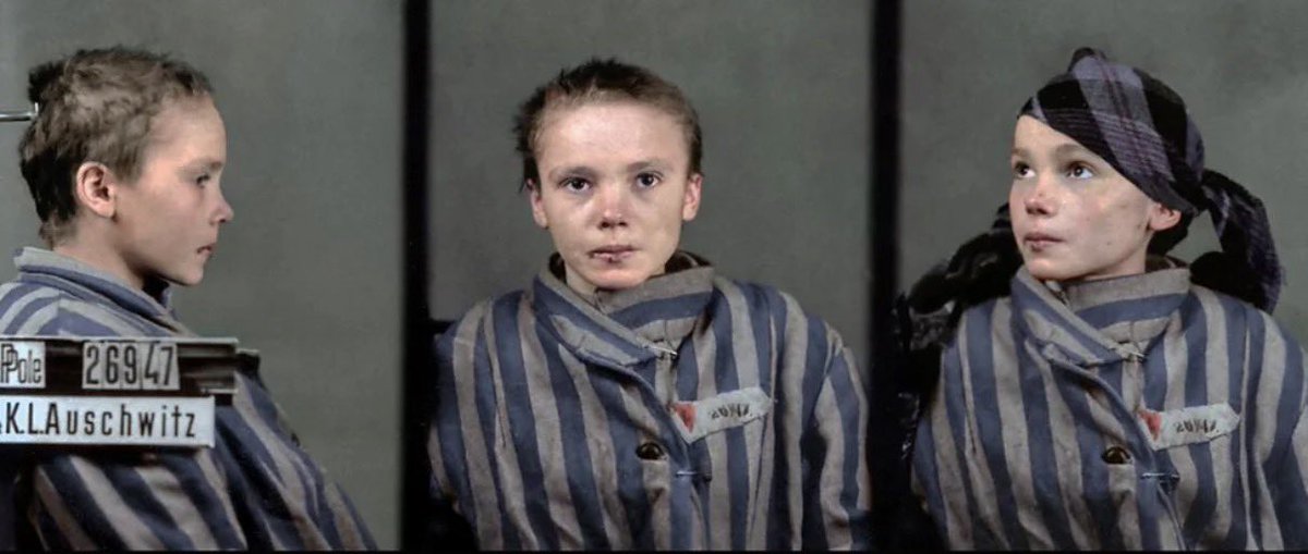 ReidEdwardII's tweet photo. Many people have seen this photograph.

It circulates online, appears in documentaries, is shared in memorial posts, and is often presented as a haunting symbol of innocence destroyed, but most who encounter it do not know the full story behind the girl in the striped uniform, nor the wider context of what was happening to the Polish population at that time.

The girl is Czesława Kwoka, a fourteen-year-old Polish Catholic deported to Auschwitz concentration camp in December 1942 during the German occupation of Poland. She was assigned prisoner number 26947. Her mother died in the camp. Czesława herself was murdered there only weeks later.

In camp records, she was classified with the red triangle, the designation commonly labeled “political”, but that term can be deeply misleading when viewed through modern assumptions. Tens of thousands of Poles imprisoned in Auschwitz and other camps were not political activists in the sense people imagine today. They were not party leaders, not ideologues, not insurgent commanders. They were teachers, farmers, students, laborers, priests, mothers, and children. Many were arrested in mass roundups, reprisals, expulsions, or regional pacification actions. Entire communities were targeted not because of individual crimes, but because they were Polish.

The label “political prisoner” in occupied Poland often meant something far broader: anyone considered part of a nation that the occupiers intended to break, weaken, and reduce. It could mean a member of the intelligentsia, but it could just as easily mean an ordinary villager from a region slated for ethnic cleansing, or a young person swept up during deportations tied to colonization plans in areas like Zamość.

When people see this image, they sometimes assume she must have done something. Organized. Resisted. Spoken out. The truth is far more chilling. In many cases, nothing specific was required beyond belonging to the wrong population in the wrong place at the wrong time.

Czesława was fourteen.

She was not a symbol when she entered the camp. She was a child taken from her home during a campaign of terror against Polish civilians. The red triangle on her uniform does not tell the full story. It obscures as much as it reveals.

If we are going to share her image, we owe her and the tens of thousands of ordinary Polish men, women, and children imprisoned alongside her the honesty of context.