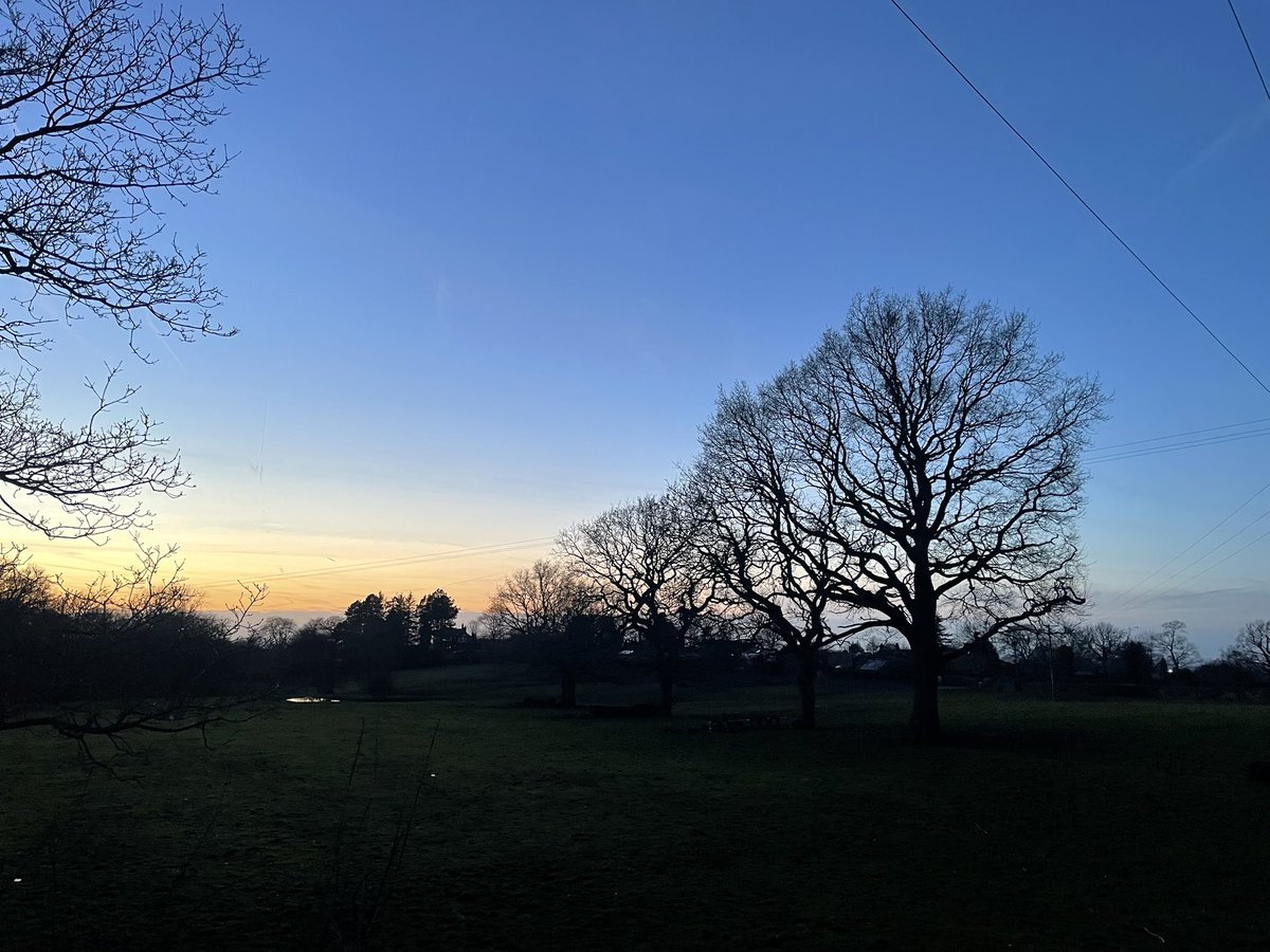 sheilaMol tweet media