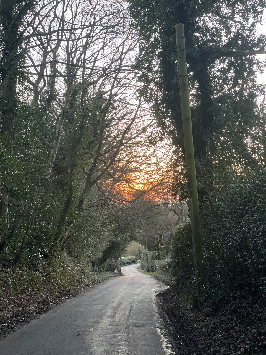 sheilaMol tweet media