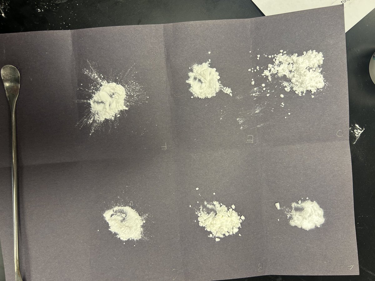 Amanda McCready tweet media