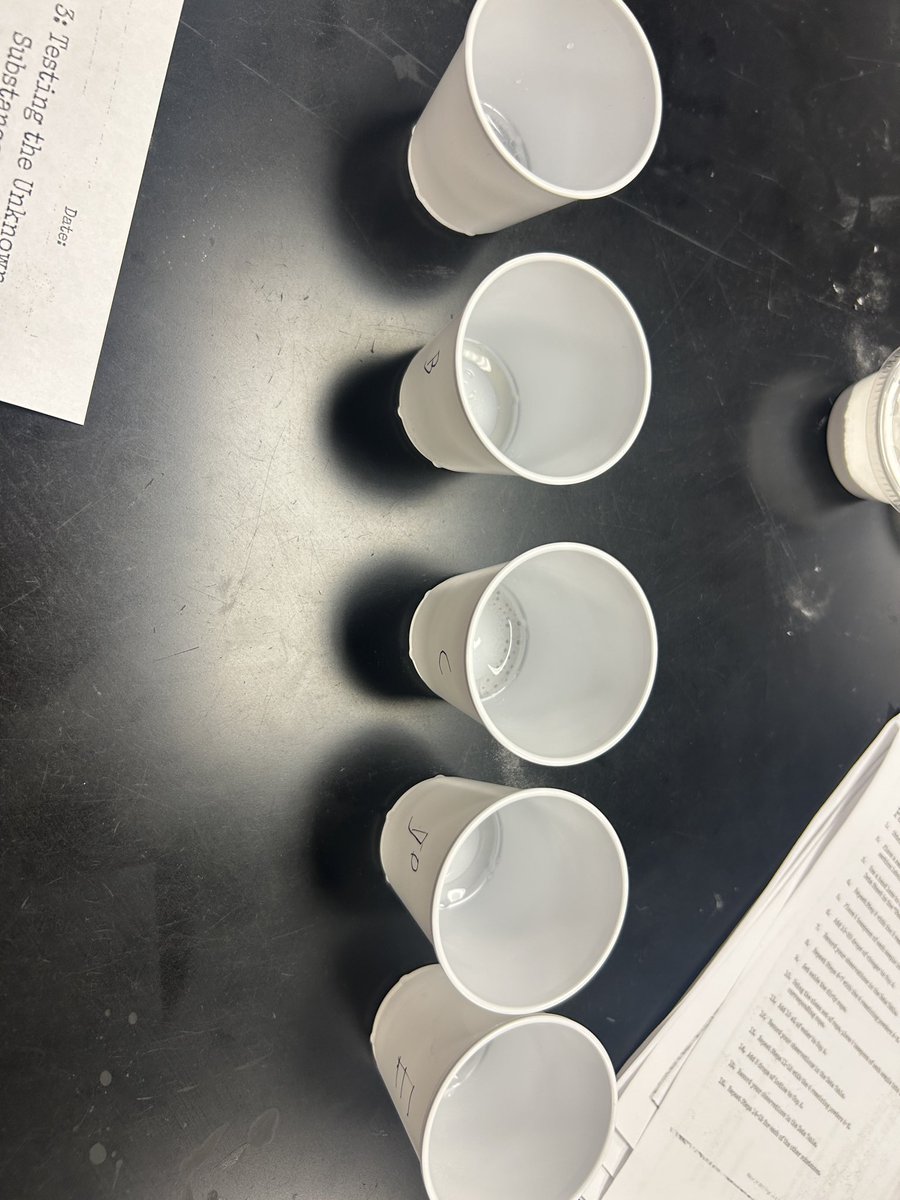 Amanda McCready tweet media