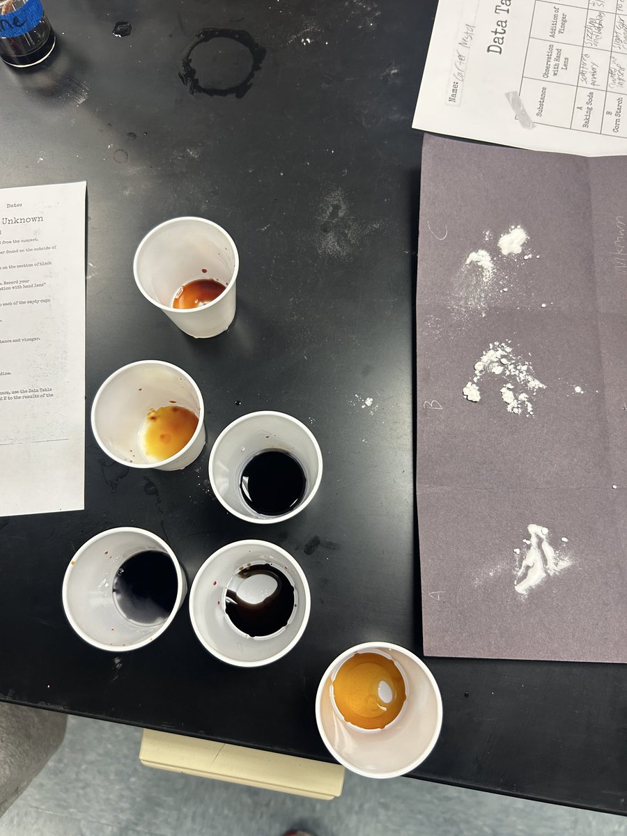 Amanda McCready tweet media