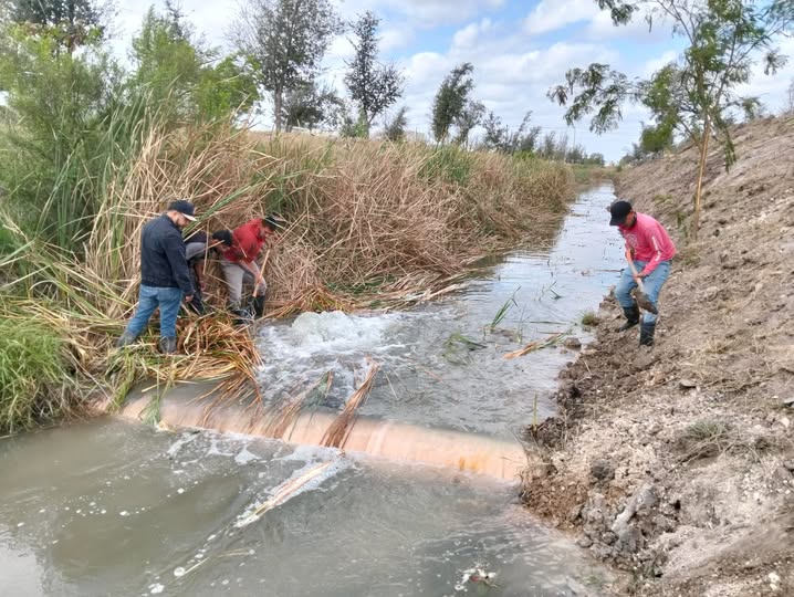 Comapa Reynosa tweet media