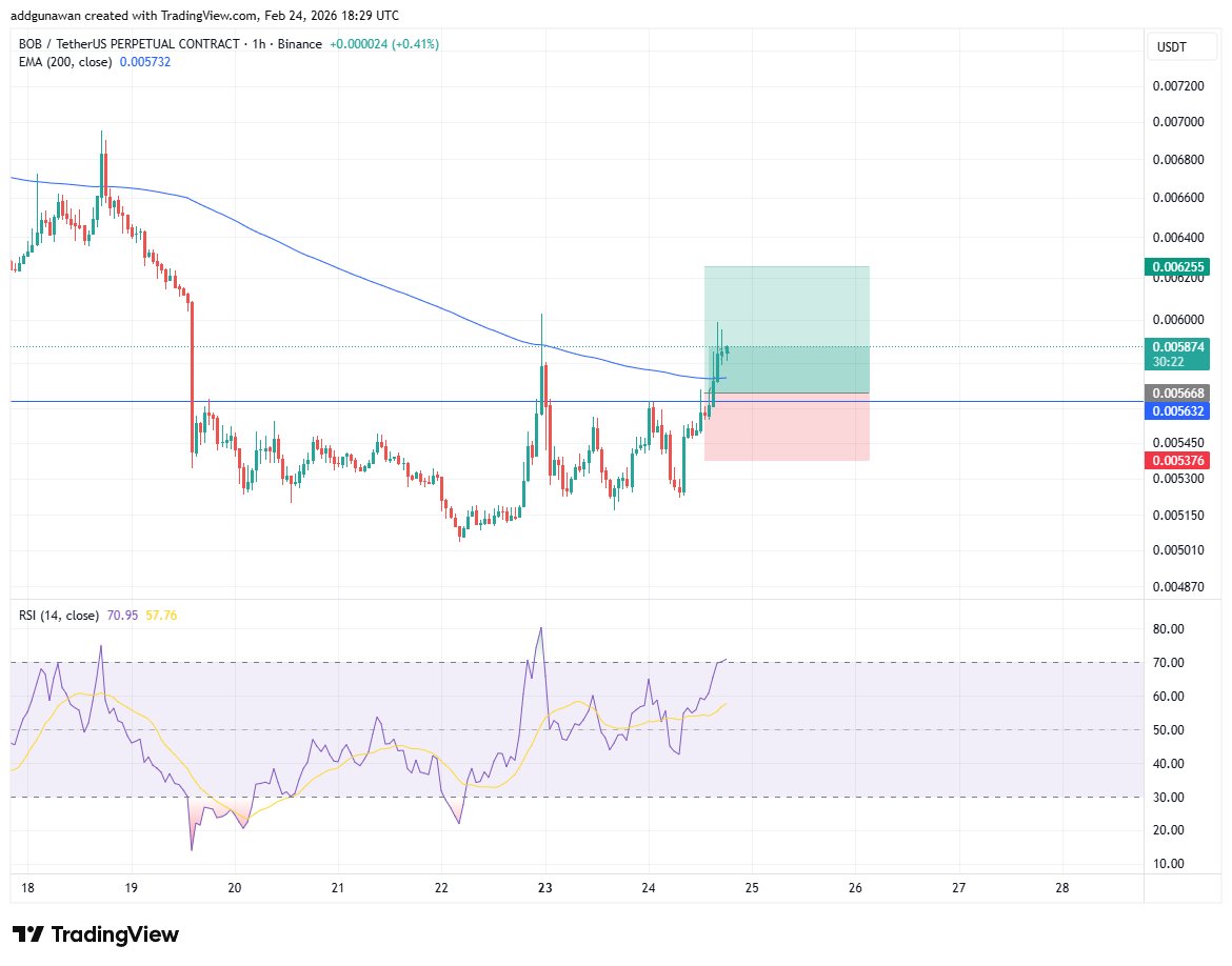 Youngman Crypto tweet media