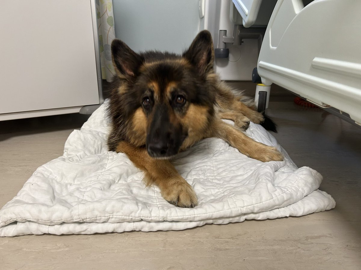 andrea booth tweet media