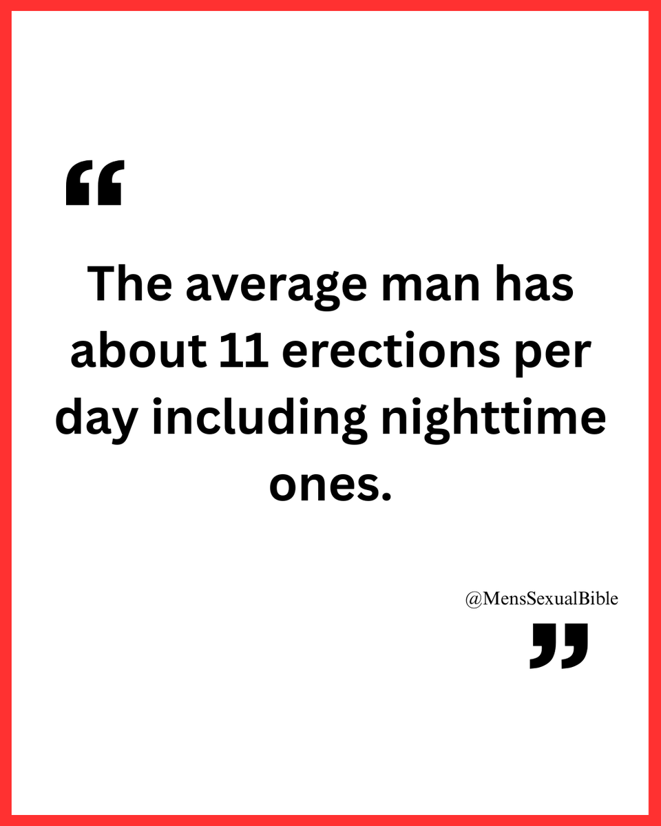 Men's Sexual Bible tweet media