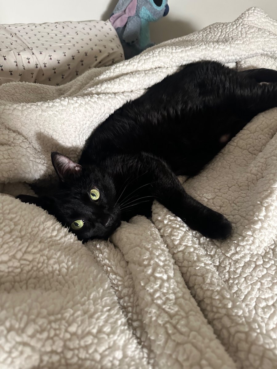 roberto updates 🇵🇸 tweet media