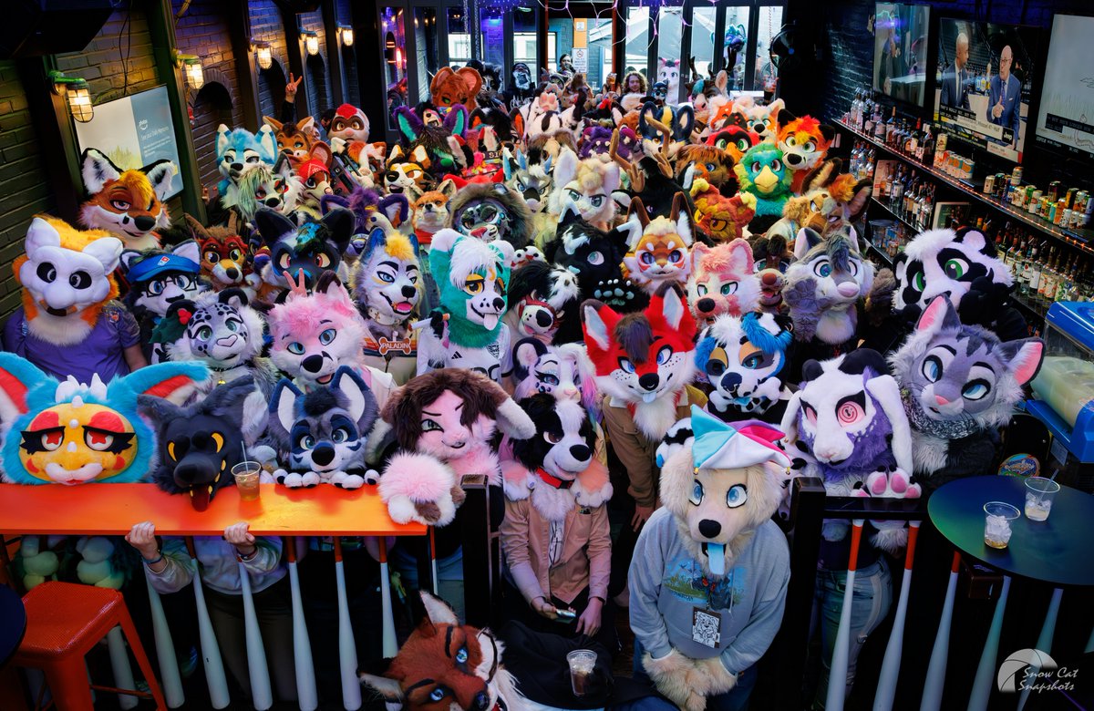 DC Fur Meet (DCFM) tweet media