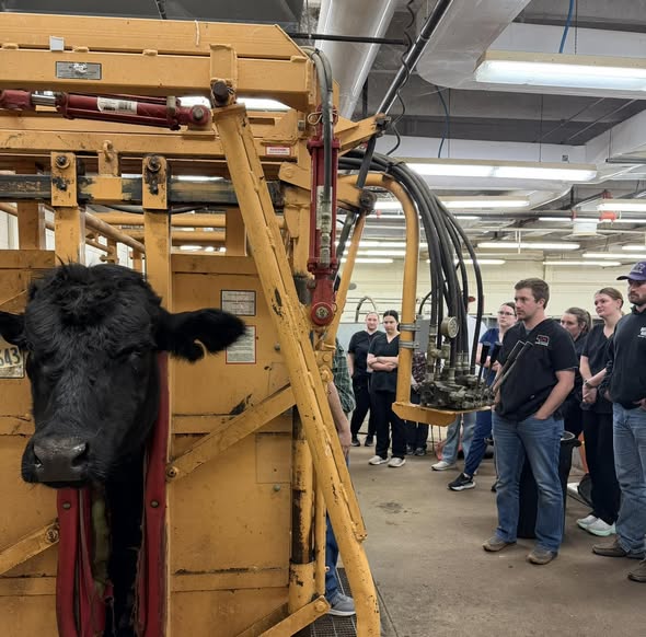 NE School of Vet Medicine & Biomedical Sciences tweet media