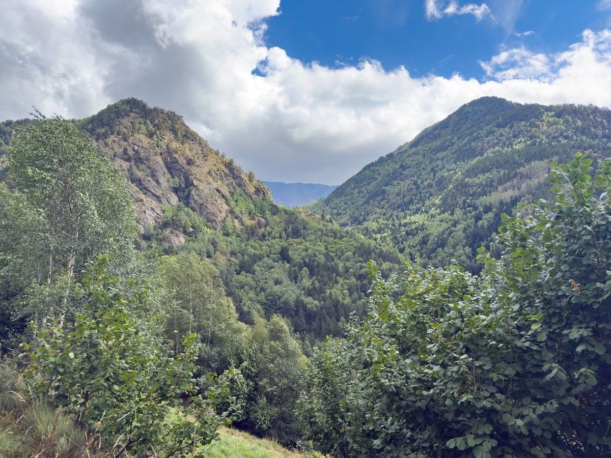 Globe Guide tweet media